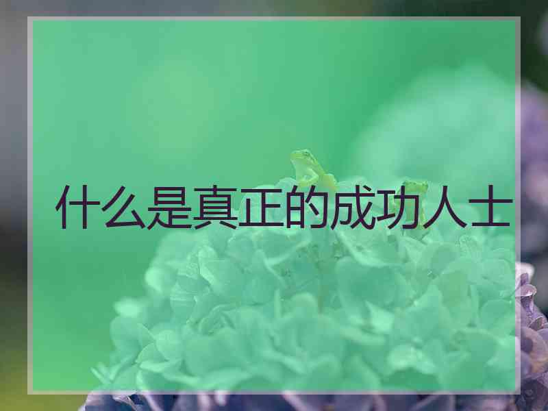 什么是真正的成功人士