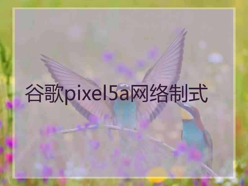 谷歌pixel5a网络制式