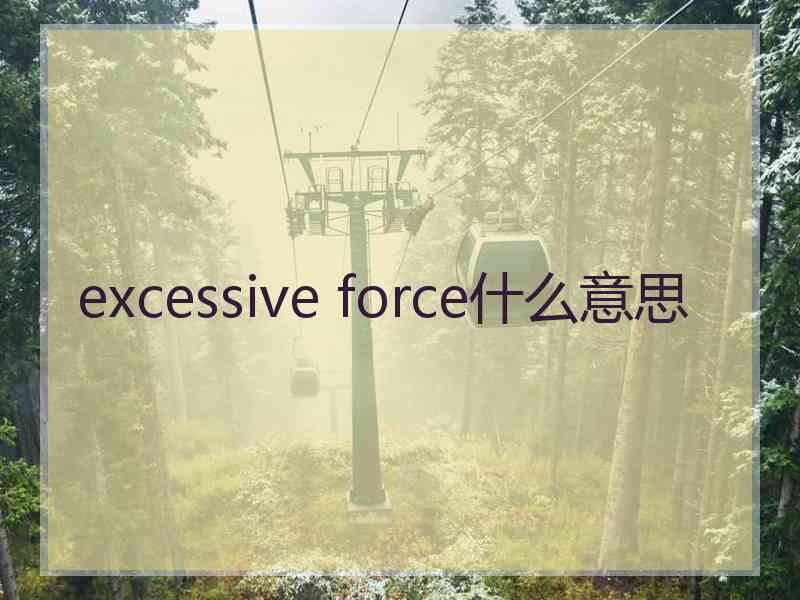 excessive force什么意思