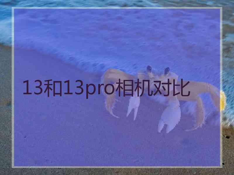 13和13pro相机对比