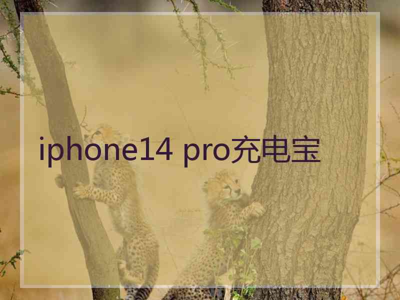 iphone14 pro充电宝