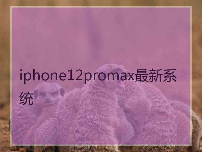 iphone12promax最新系统