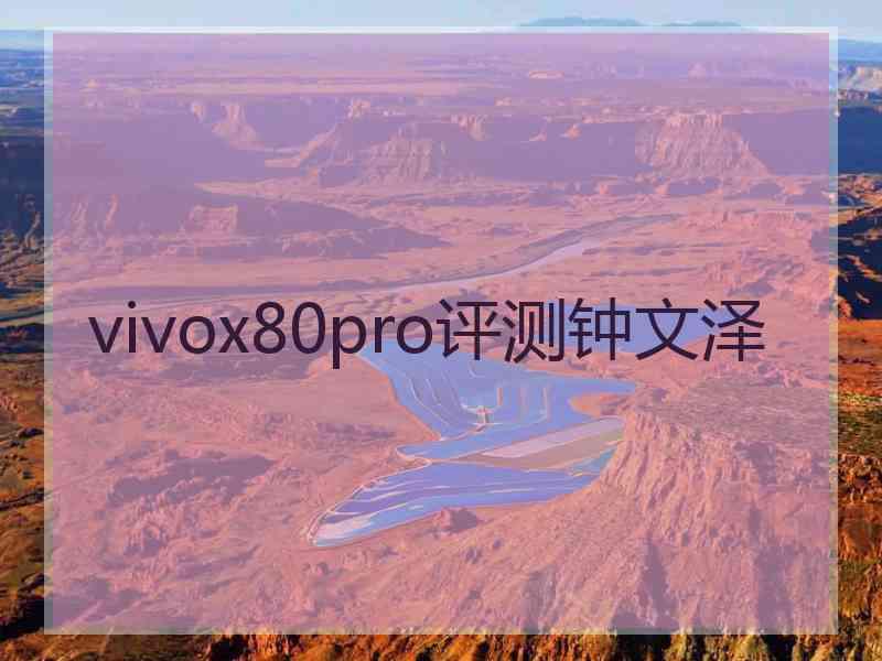 vivox80pro评测钟文泽