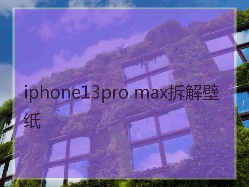 iphone13pro max拆解壁纸