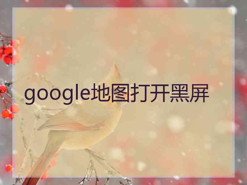 google地图打开黑屏