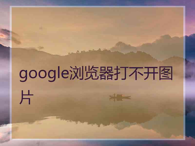 google浏览器打不开图片