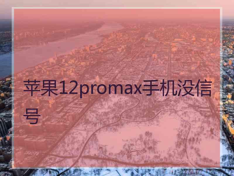 苹果12promax手机没信号