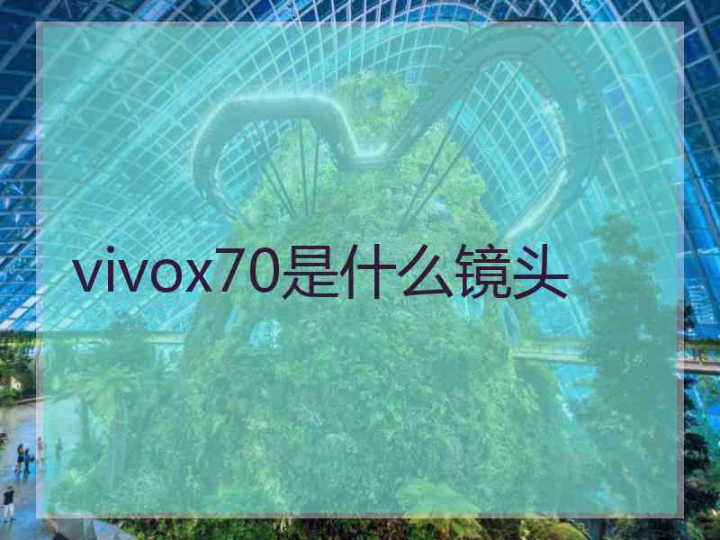 vivox70是什么镜头