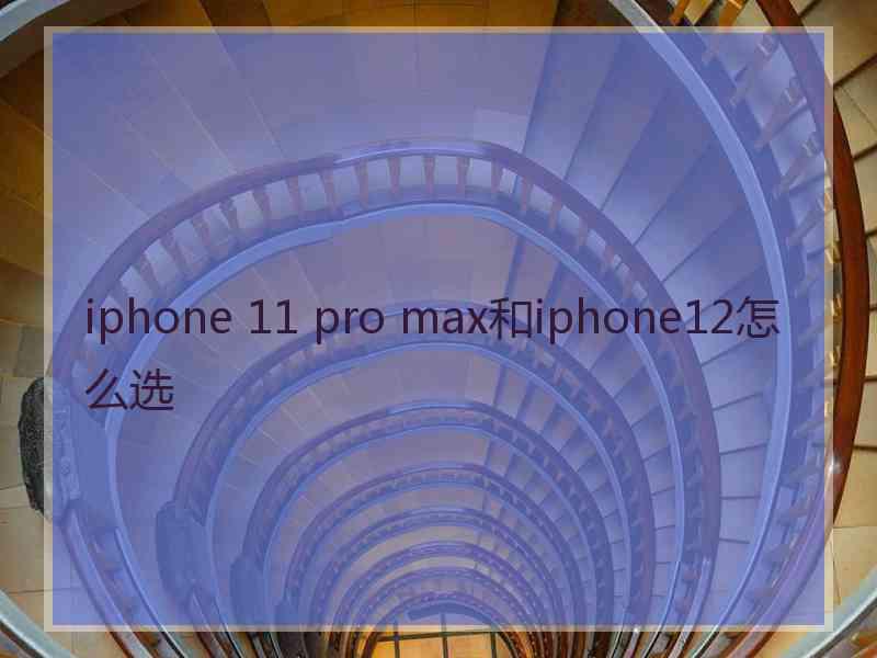 iphone 11 pro max和iphone12怎么选