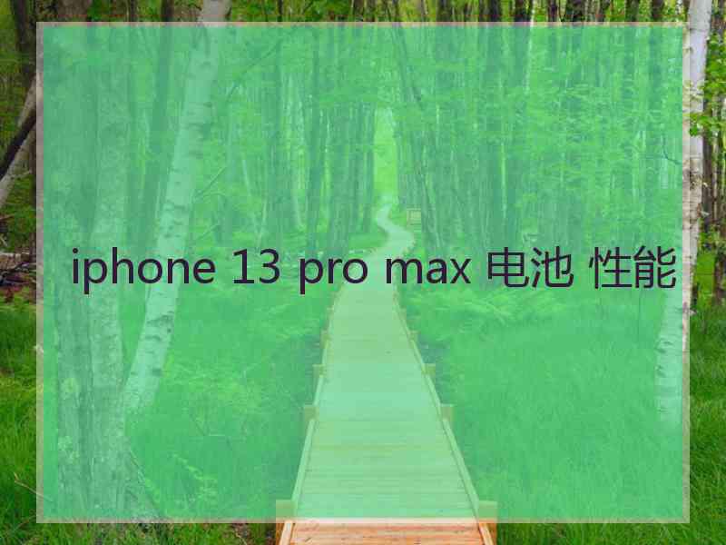 iphone 13 pro max 电池 性能