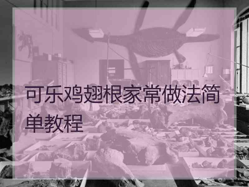 可乐鸡翅根家常做法简单教程