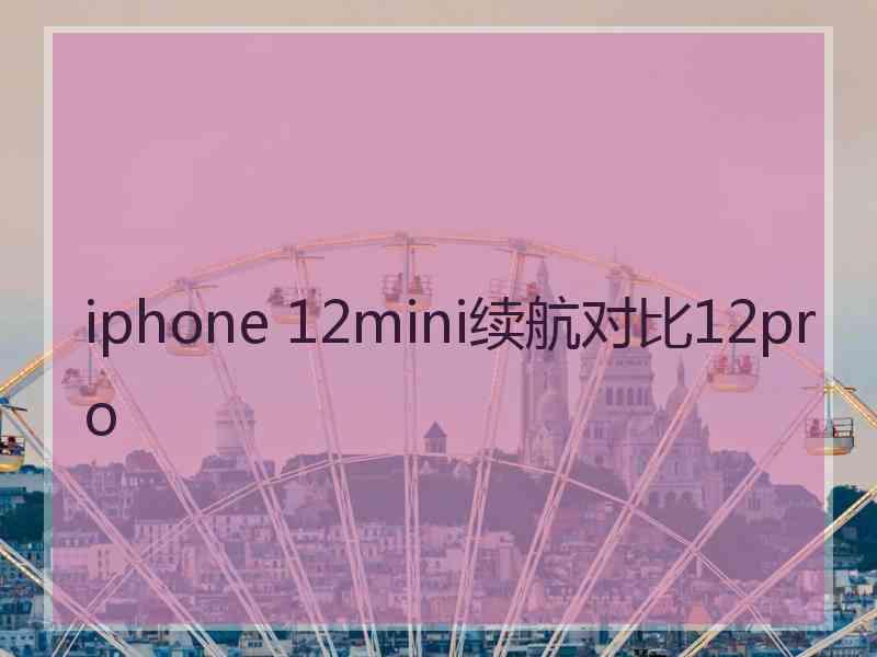 iphone 12mini续航对比12pro