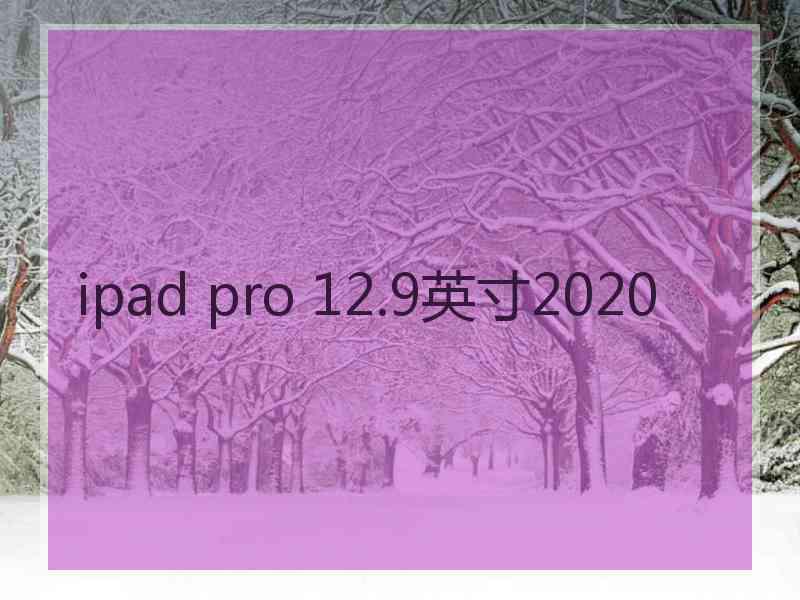 ipad pro 12.9英寸2020