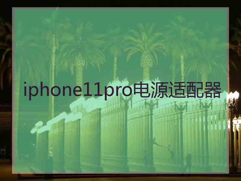 iphone11pro电源适配器