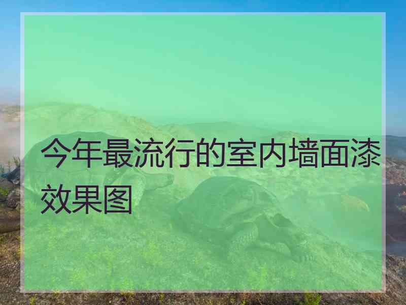 今年最流行的室内墙面漆效果图