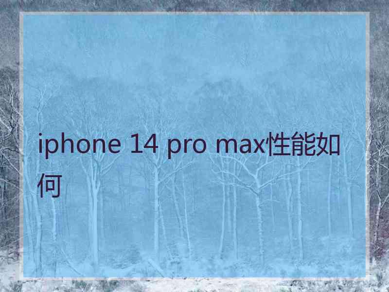 iphone 14 pro max性能如何