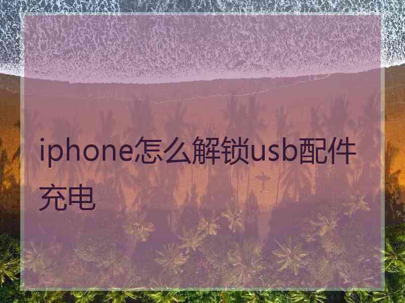 iphone怎么解锁usb配件充电