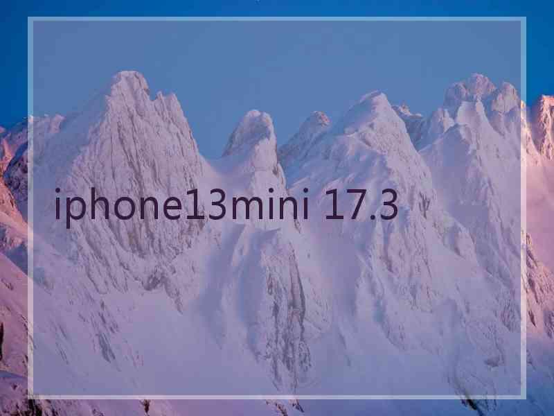 iphone13mini 17.3