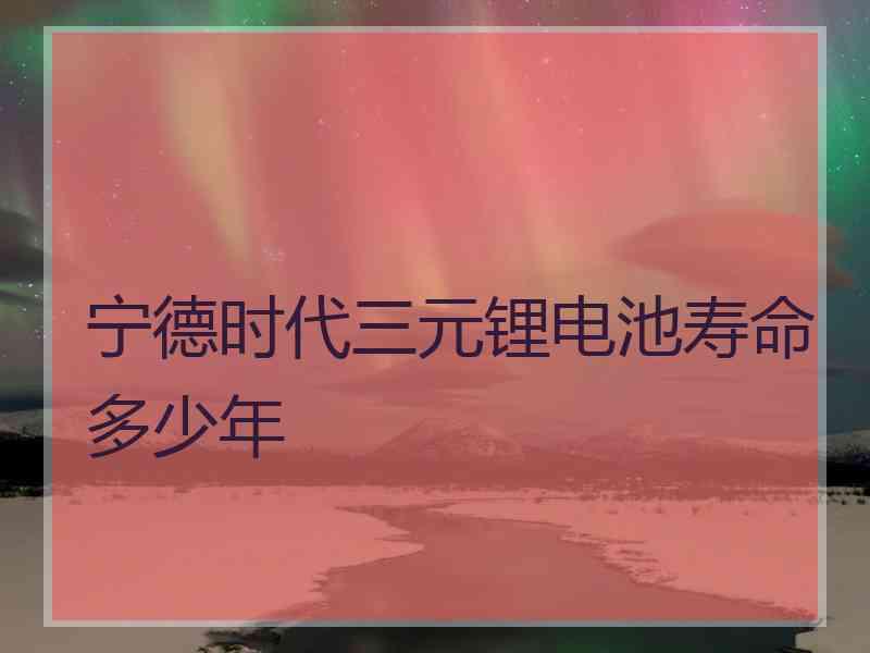 宁德时代三元锂电池寿命多少年