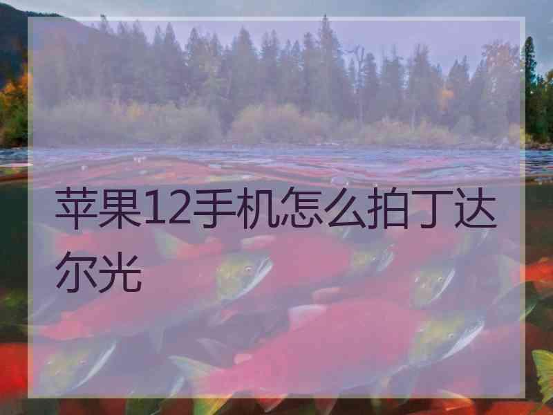 苹果12手机怎么拍丁达尔光