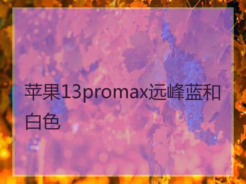 苹果13promax远峰蓝和白色