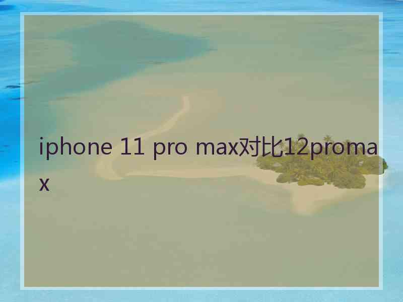 iphone 11 pro max对比12promax