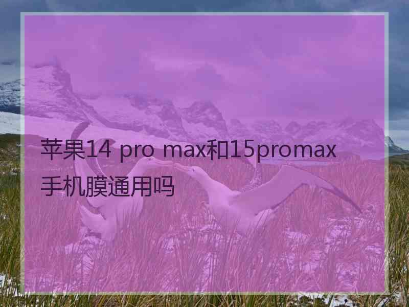 苹果14 pro max和15promax手机膜通用吗