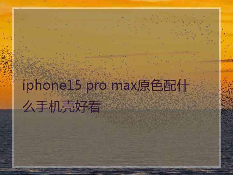 iphone15 pro max原色配什么手机壳好看