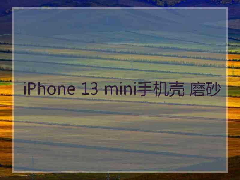 iPhone 13 mini手机壳 磨砂