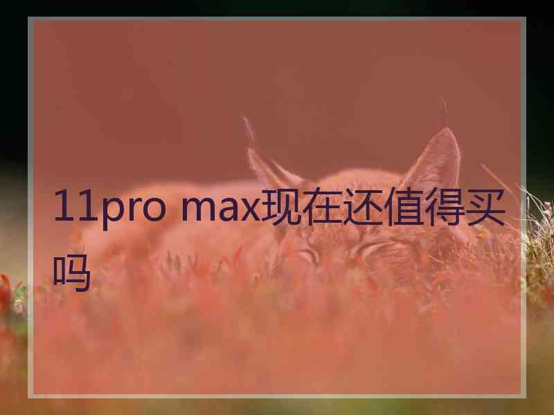 11pro max现在还值得买吗