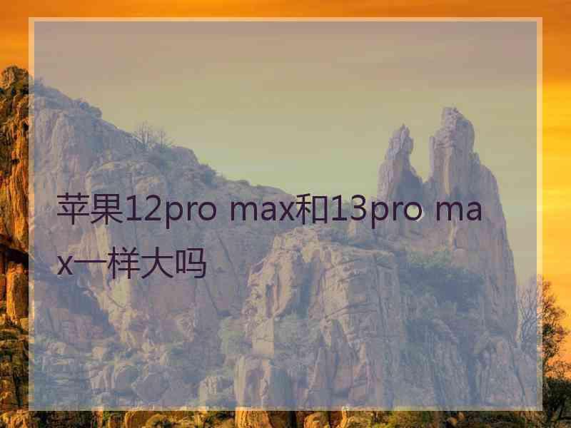 苹果12pro max和13pro max一样大吗