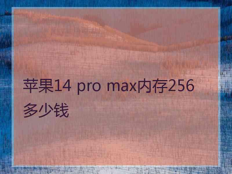 苹果14 pro max内存256多少钱