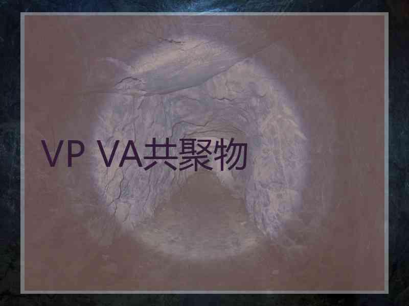 VP VA共聚物