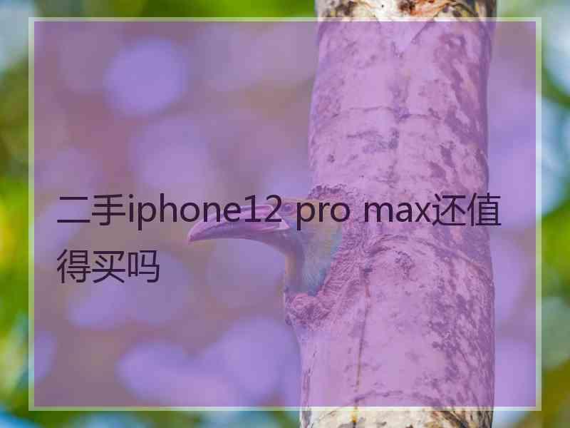 二手iphone12 pro max还值得买吗