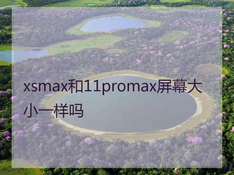 xsmax和11promax屏幕大小一样吗