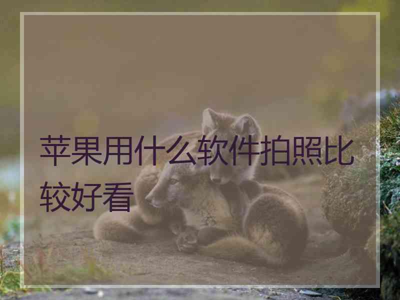 苹果用什么软件拍照比较好看