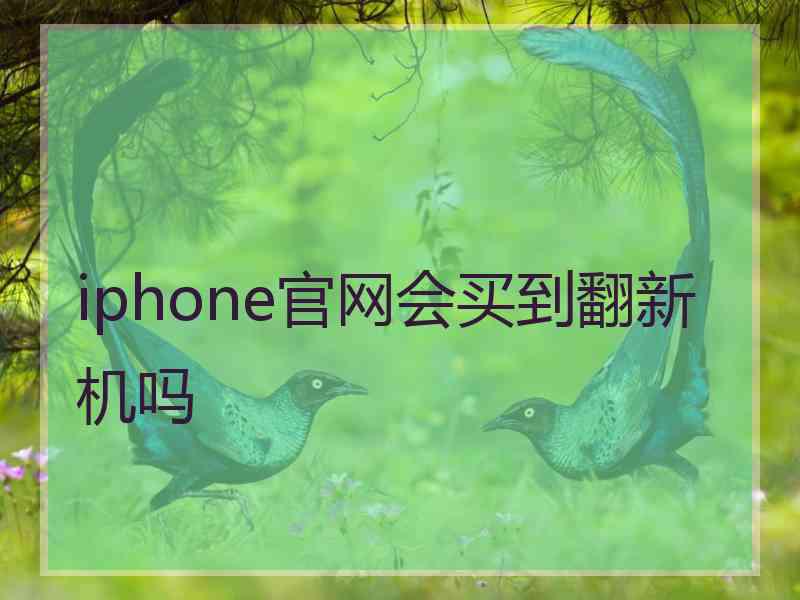 iphone官网会买到翻新机吗