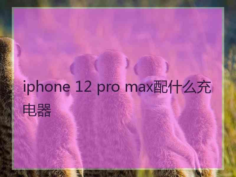 iphone 12 pro max配什么充电器