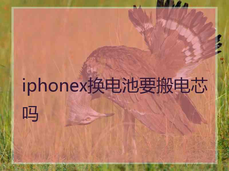 iphonex换电池要搬电芯吗