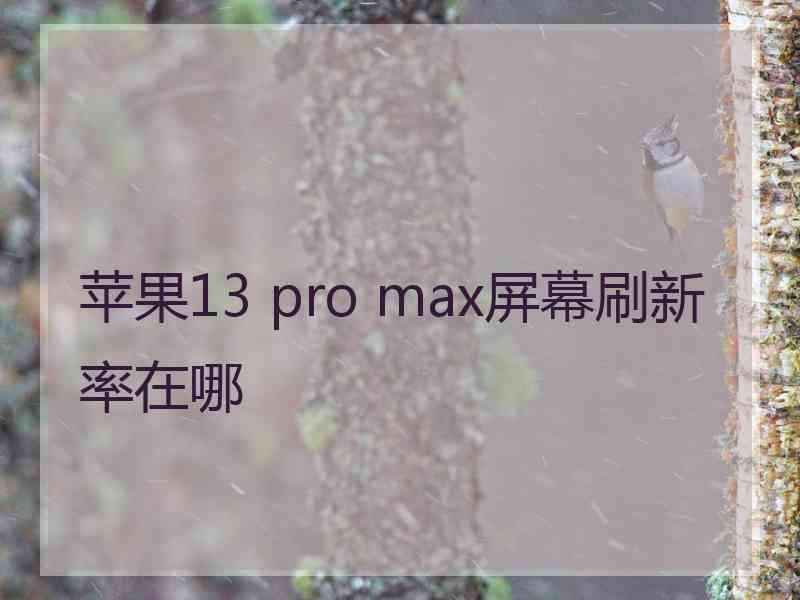 苹果13 pro max屏幕刷新率在哪