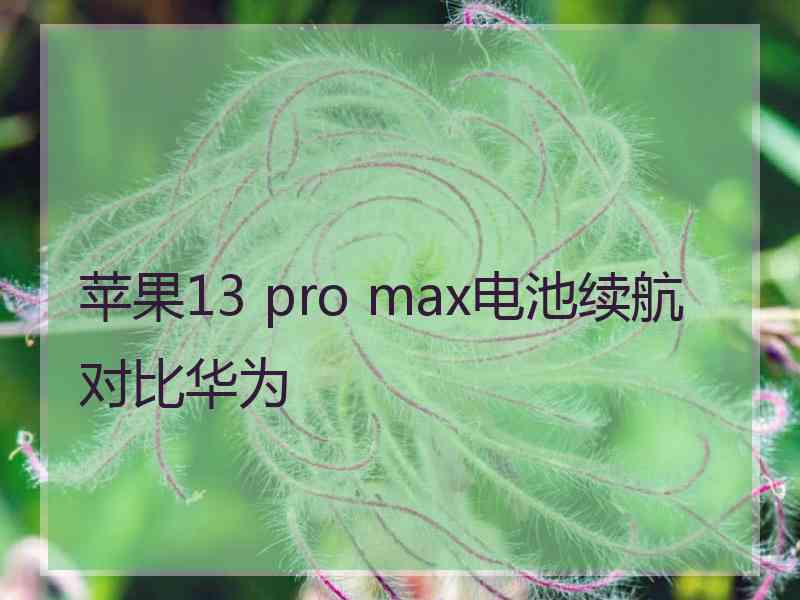 苹果13 pro max电池续航对比华为