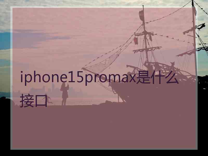 iphone15promax是什么接口