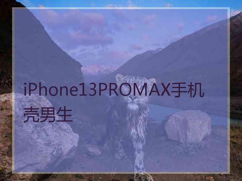 iPhone13PROMAX手机壳男生