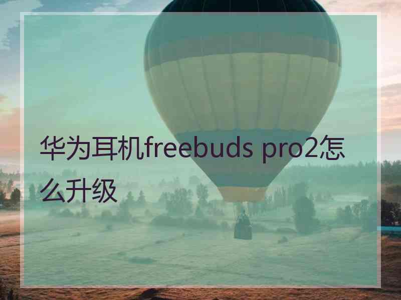 华为耳机freebuds pro2怎么升级