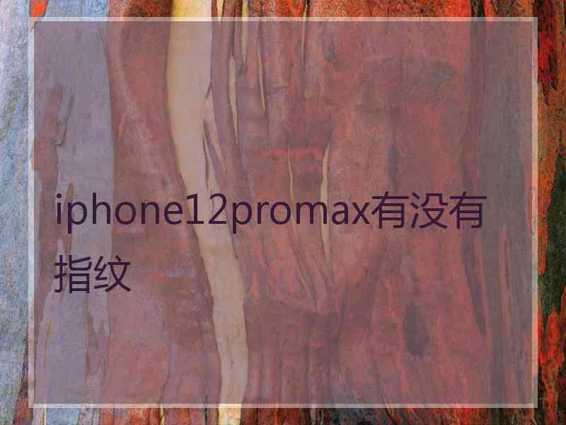 iphone12promax有没有指纹