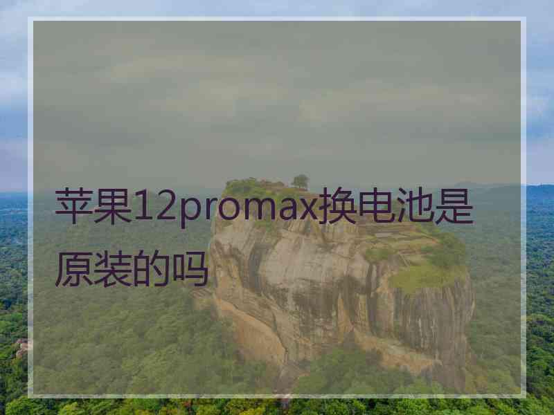 苹果12promax换电池是原装的吗