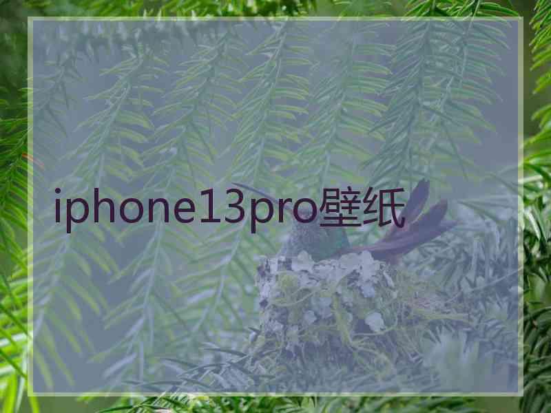 iphone13pro壁纸