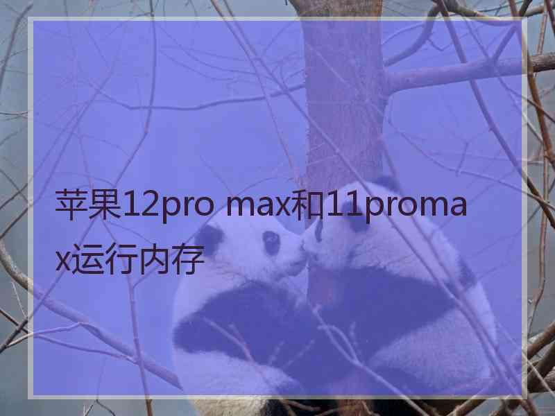 苹果12pro max和11promax运行内存