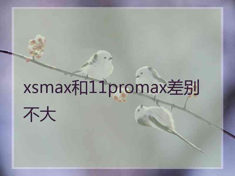 xsmax和11promax差别不大