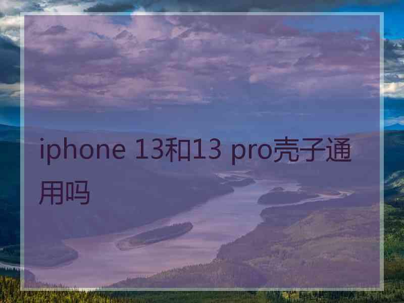 iphone 13和13 pro壳子通用吗